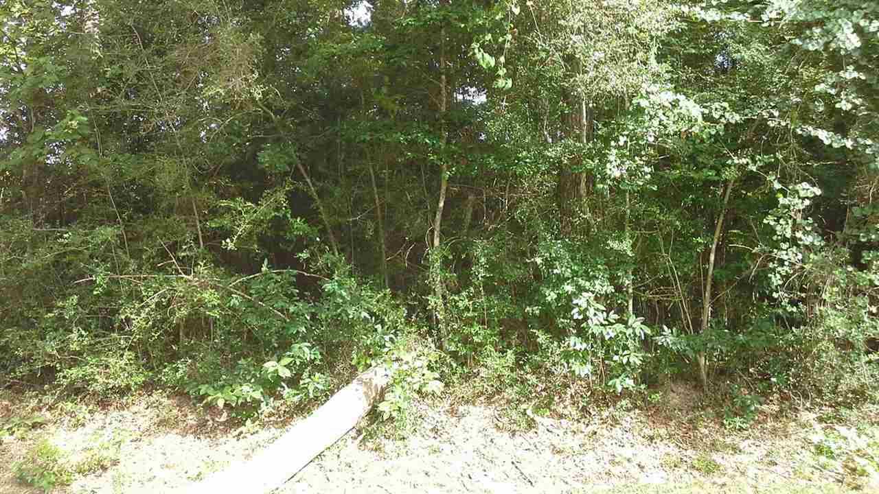 TBD Idylwood And Wildwood Drive - Photo 1