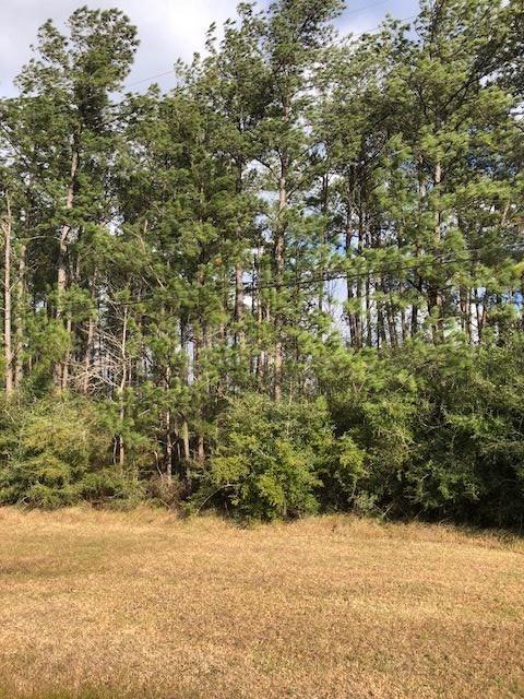 1339 Hwy 326 - Photo 1