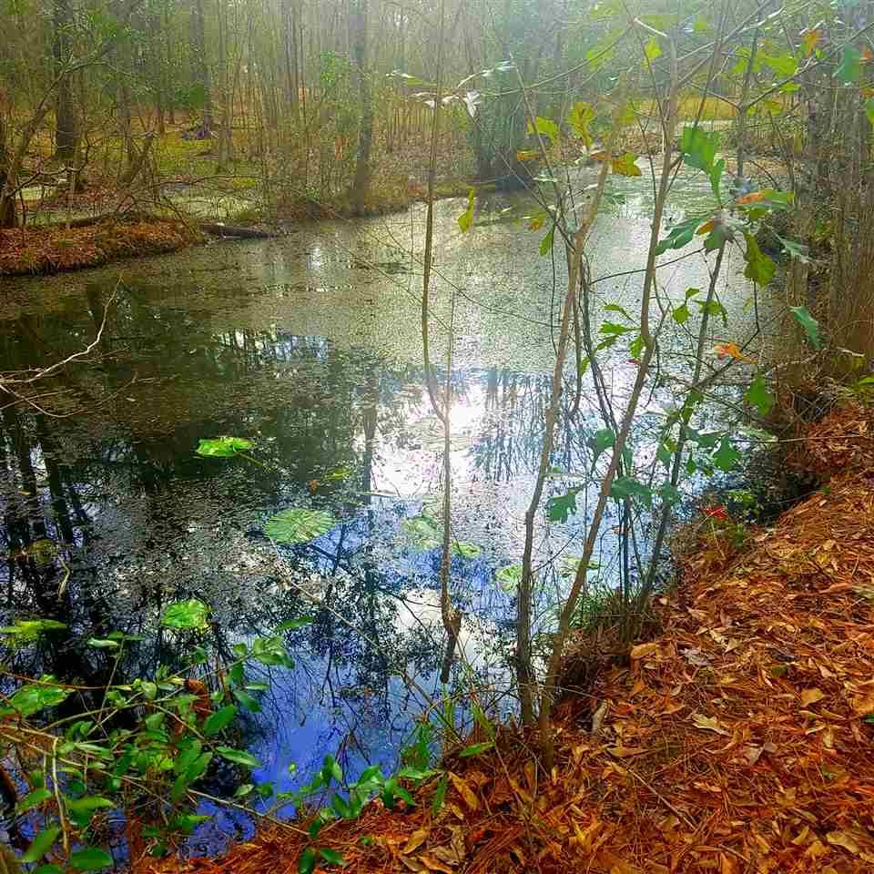 14312 Fm 1442 - Photo 1