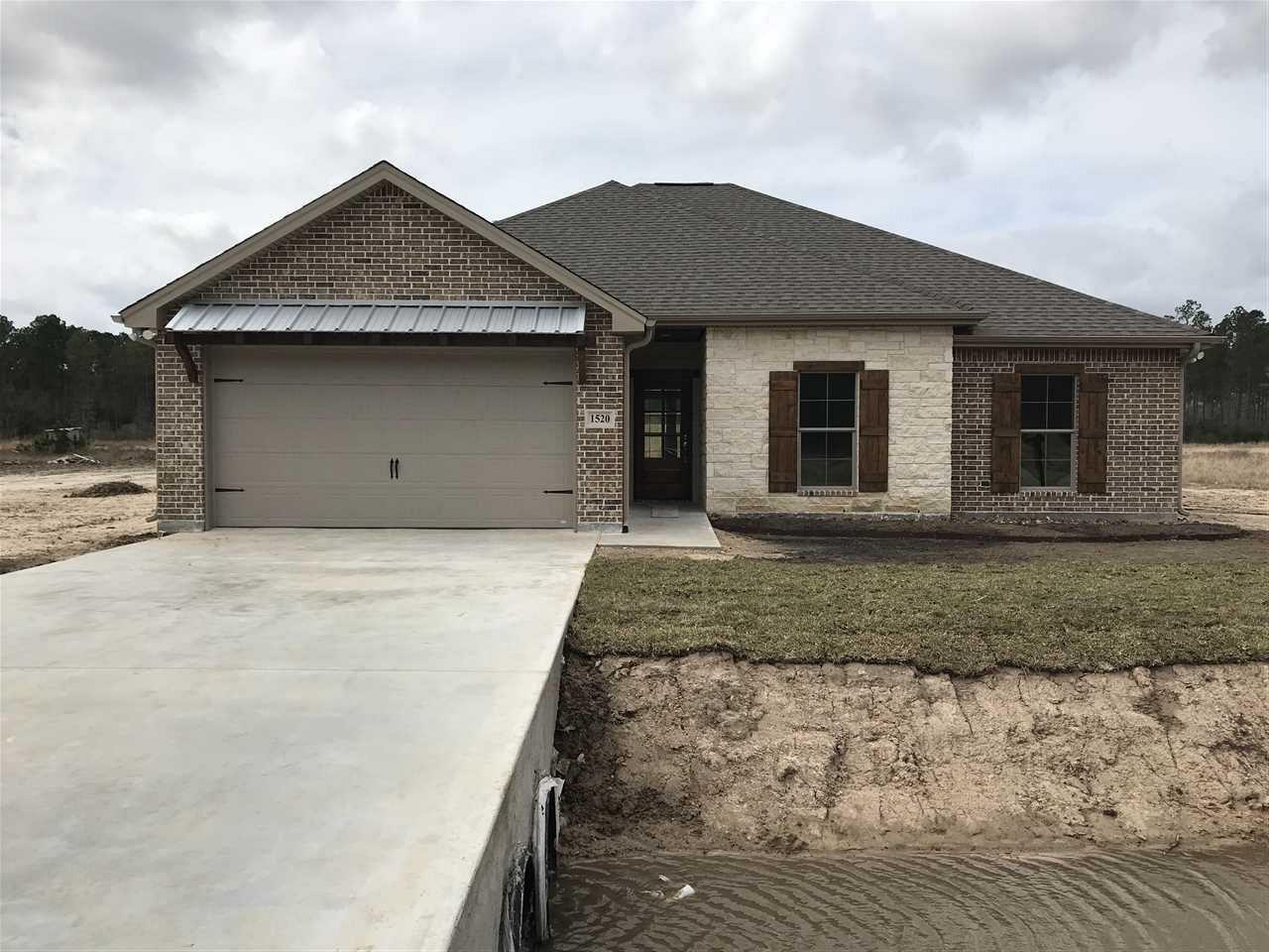 1520 Haidlyn's Way - Photo 1