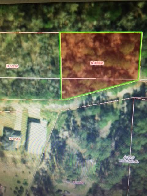 000 Bobcat Circle - Photo 1