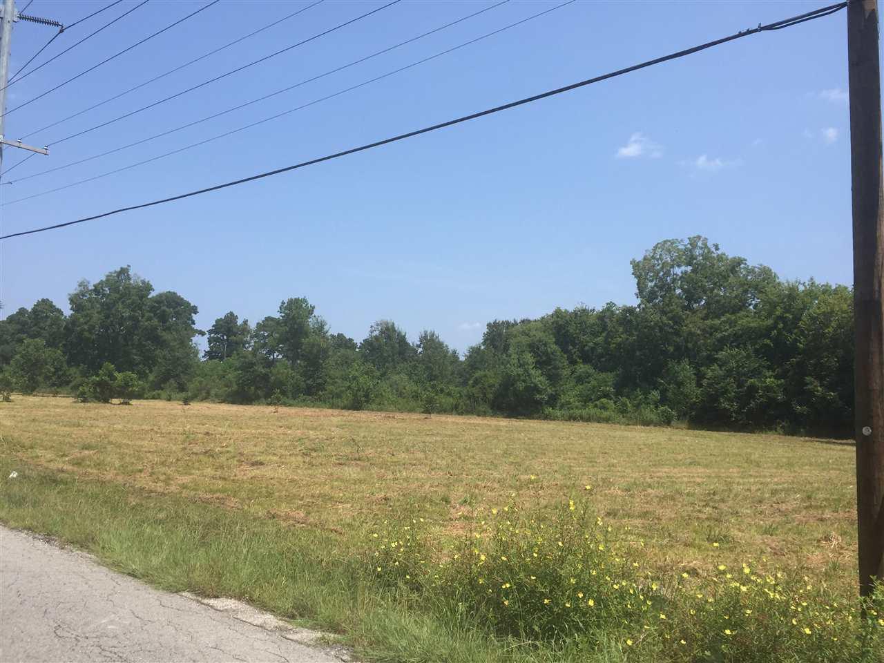 000 Helbig Rd - Photo 1