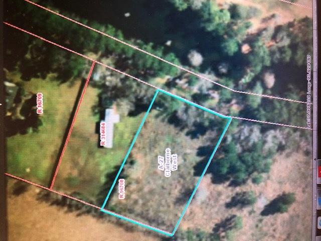 Dorman Cemetery Rd - Photo 1