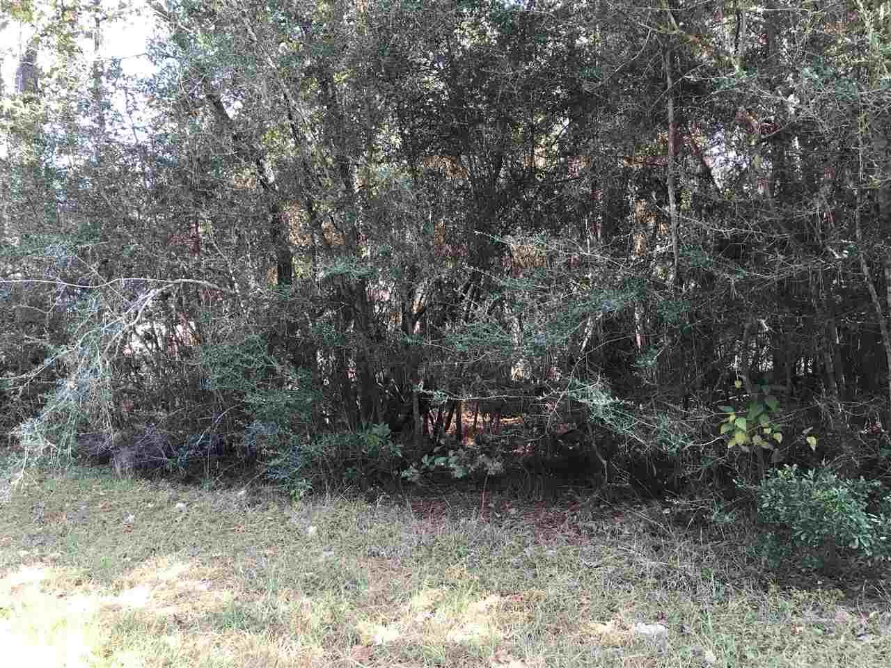 0000 Wildwood Dr - Photo 1