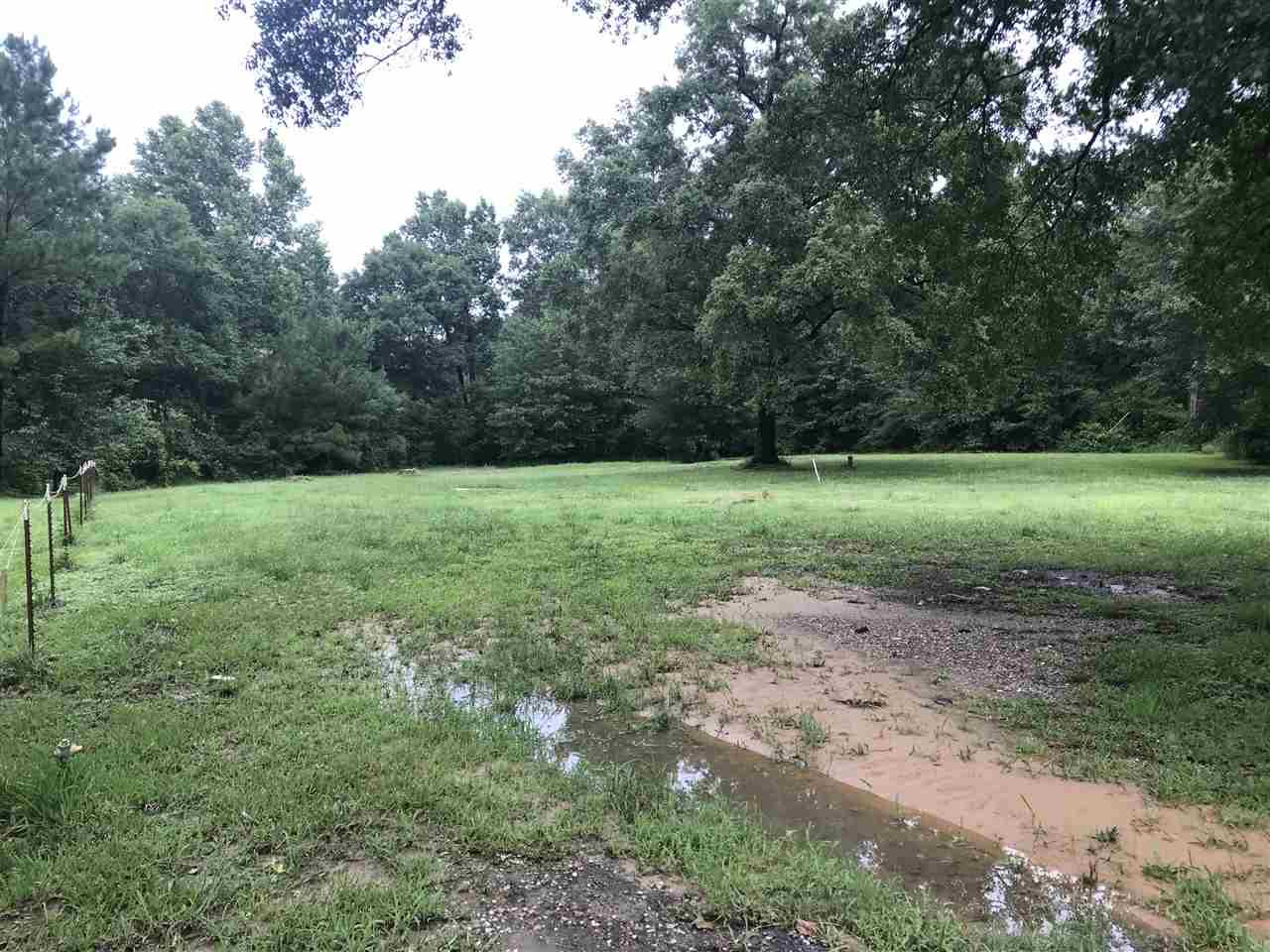 290 Edna - Photo 1