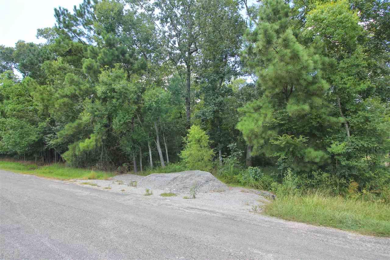 000 Pine Lake - Photo 1