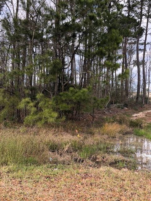 1300 Tallow Cir - Photo 1