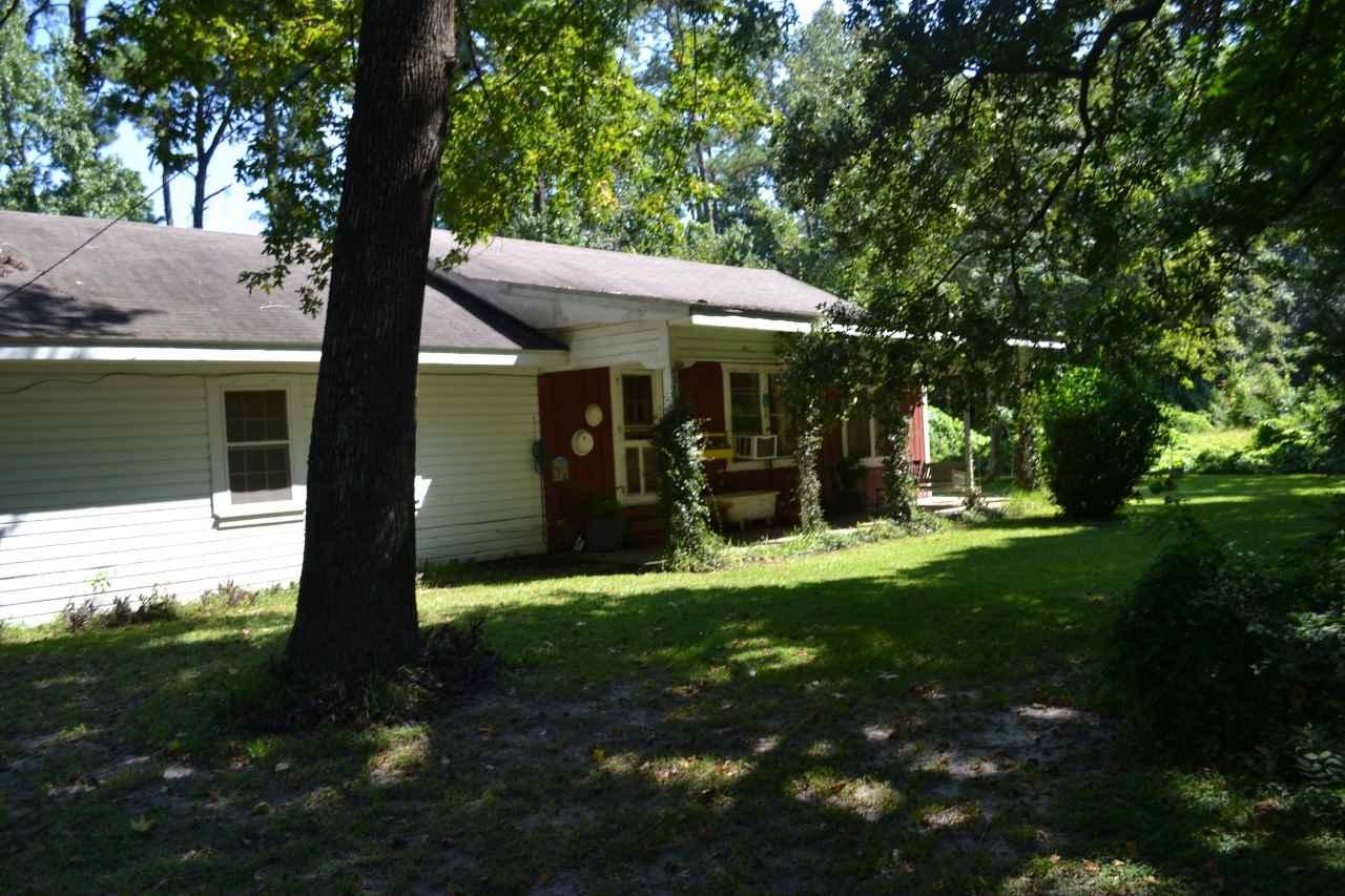 151 Bamboo Ln - Photo 1