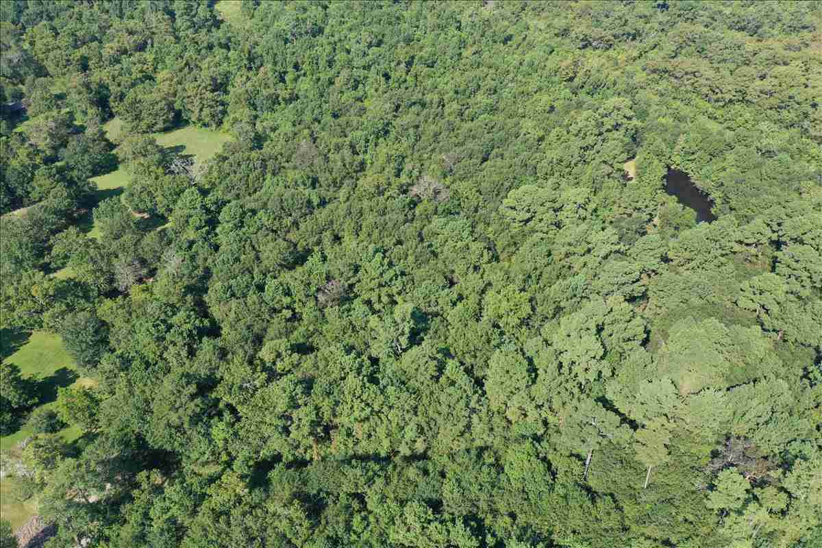 14.981 Acres Mcguire Lane - Photo 1