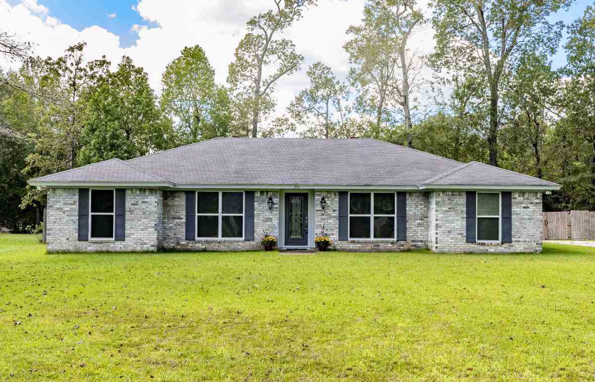 254 Pinevale Way - Photo 1
