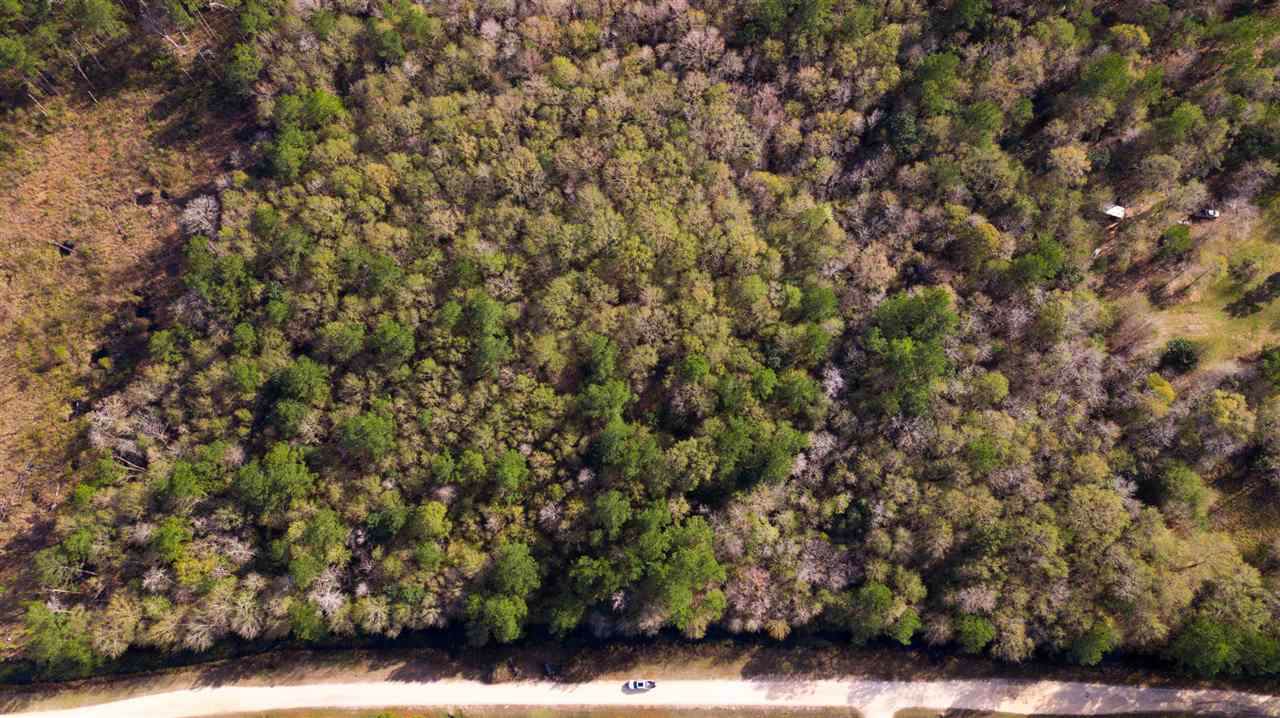 6250 Grigsby Rd - Photo 1