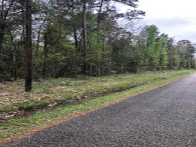 20.529 Acres Valda - Photo 1