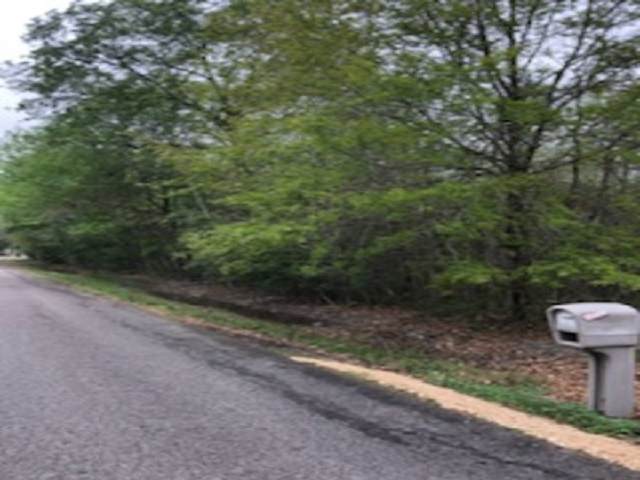 1.69 Acres Mitchell Rd. - Photo 1