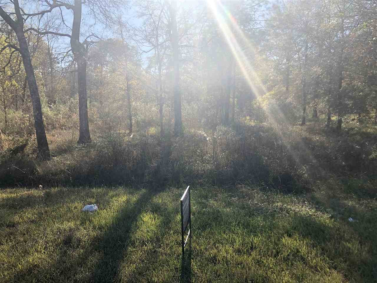 3250 Evangeline Dr - Photo 1 3250 Evangeline Dr - Photo 1