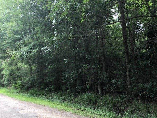 0000 Warbler - Photo 1