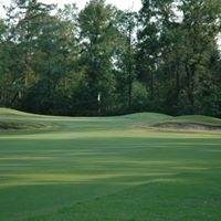 914 Huckleberry - Photo 1