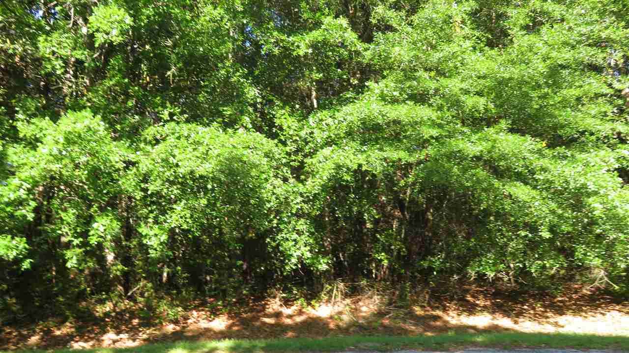 LOTS 10 11 W/12 Oak - Photo 1