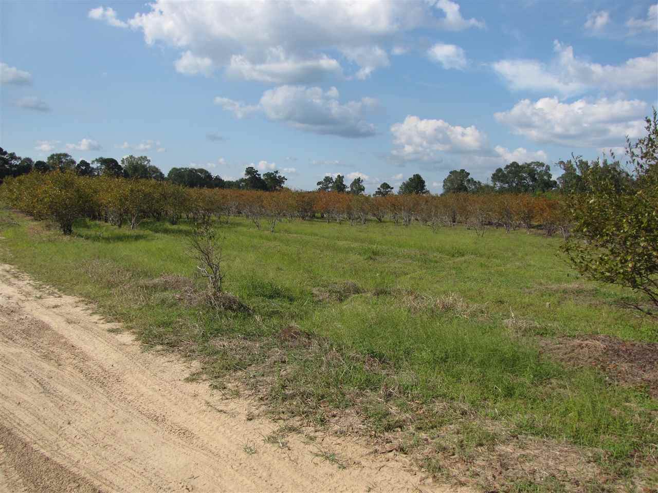 000 Fm 1122 - Photo 1