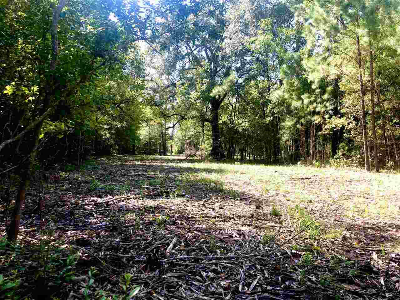 12280 Pelt Road - Photo 1
