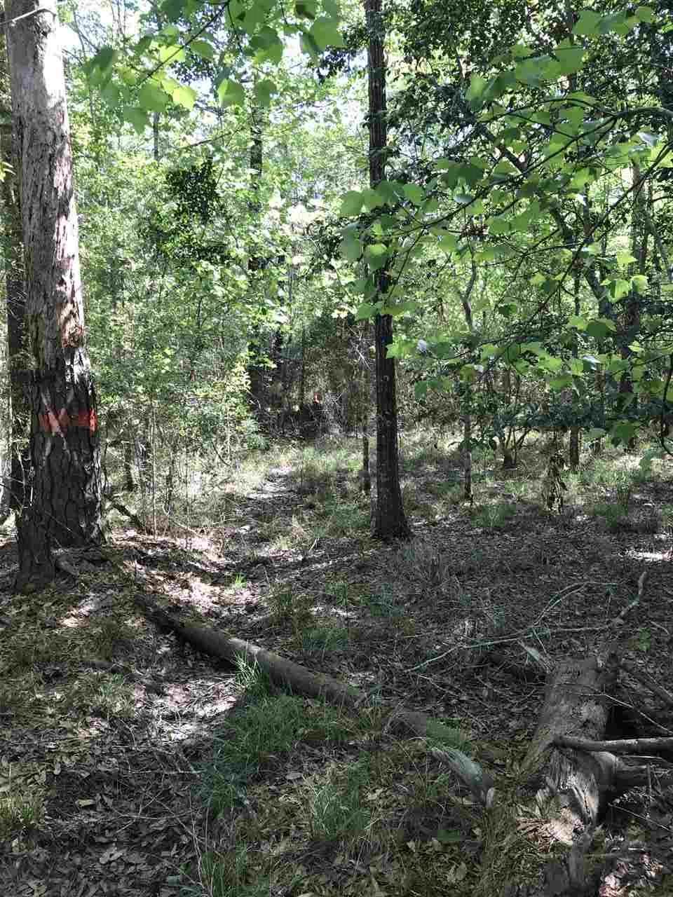 0001 Hwy 105 - Photo 1