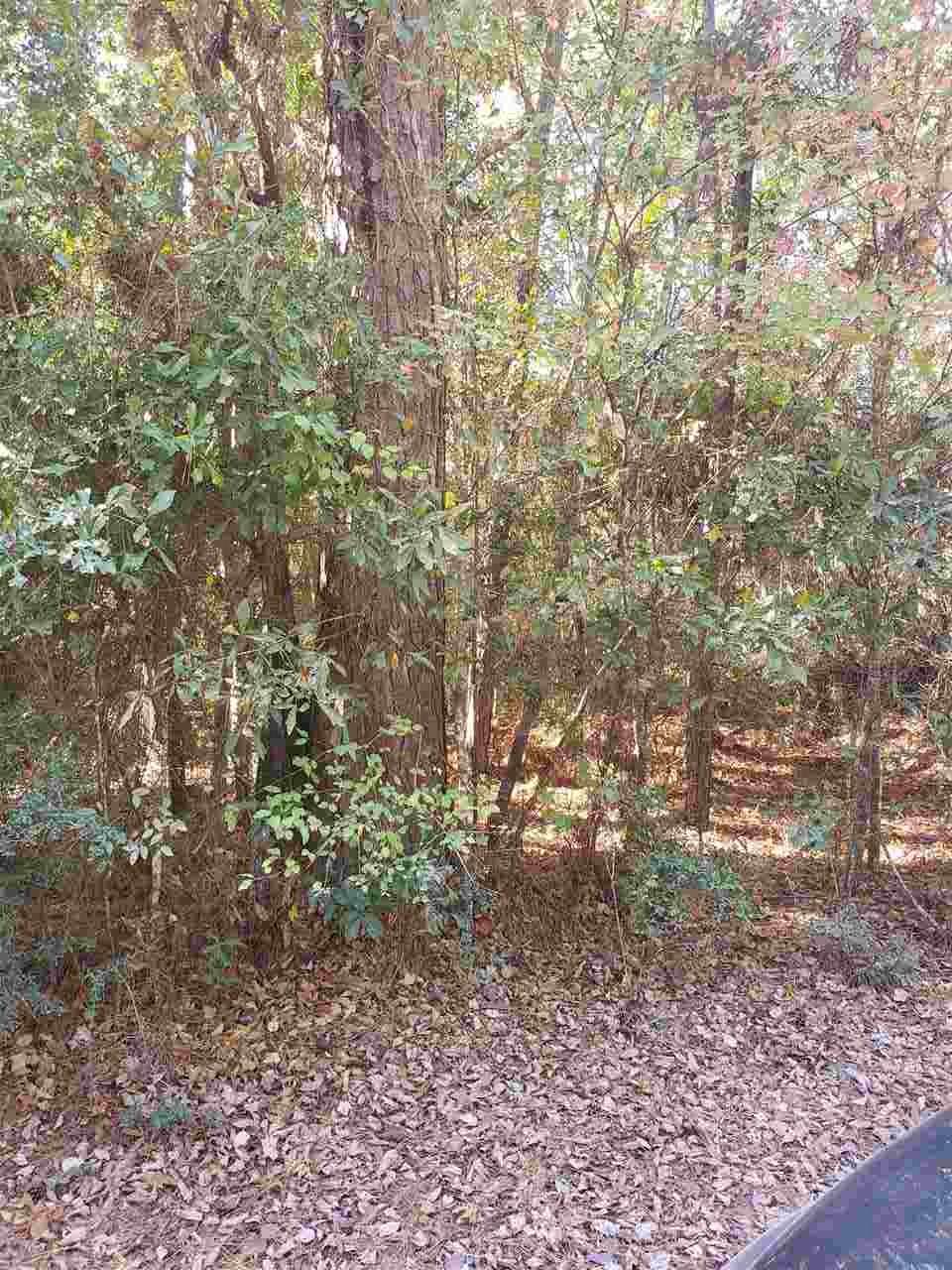 0000 Outlaw Bend Road - Photo 1