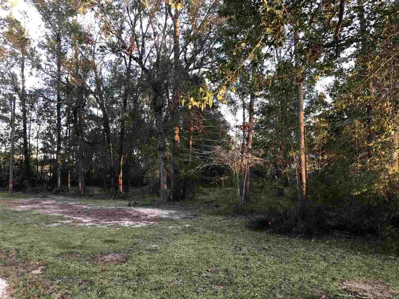 0000 Jackie Ln - Photo 1