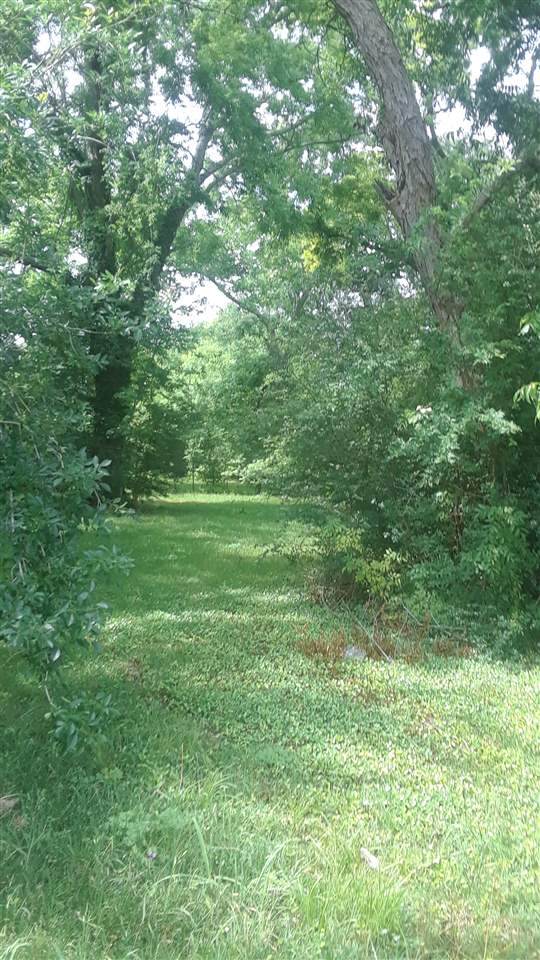 6795 Highway 105 - Photo 1
