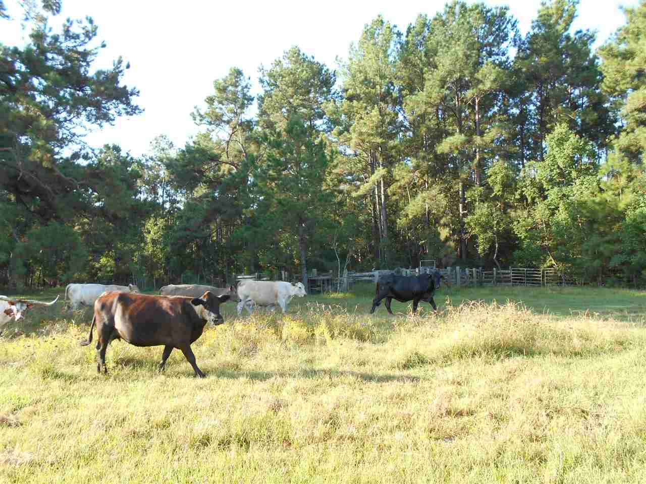0000 Old Beaumont Rd - Photo 1