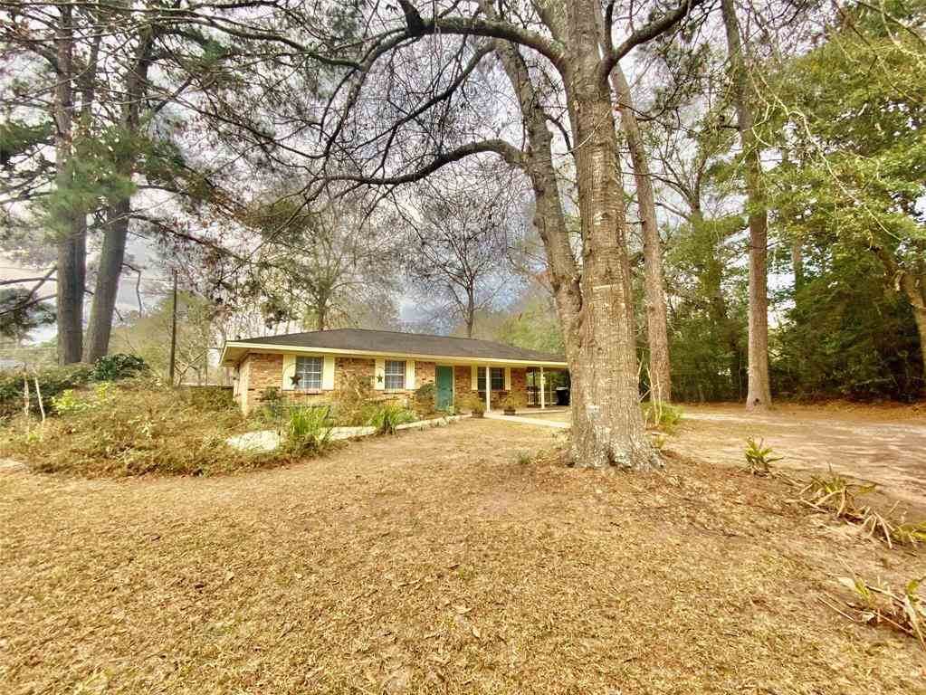 929 Nellius Street - Photo 1