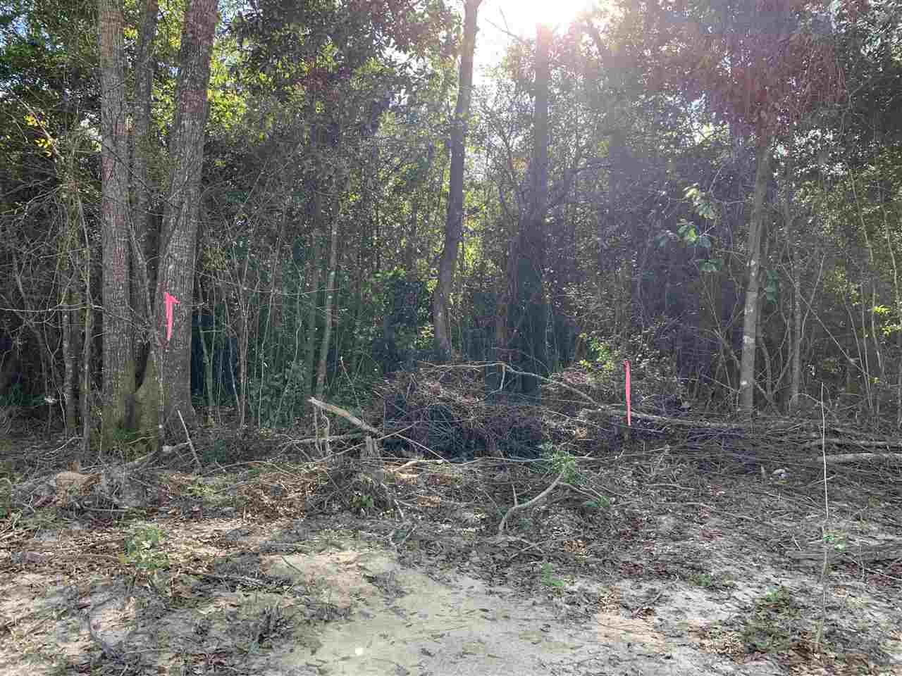 000 Tract 2 Hwy 69 And Fm 1003 - Photo 1