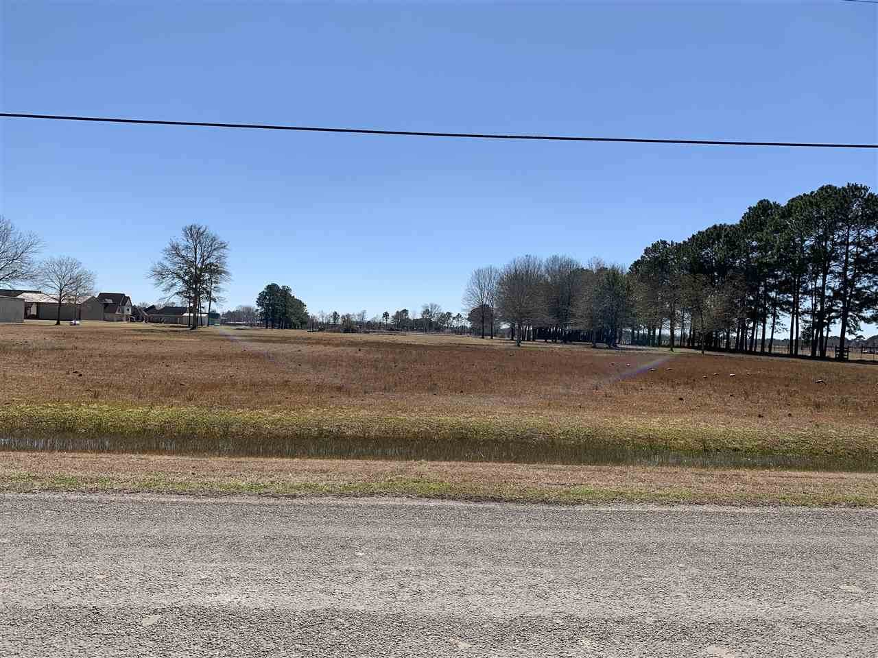 Lot 1 Coon Rd - Photo 1