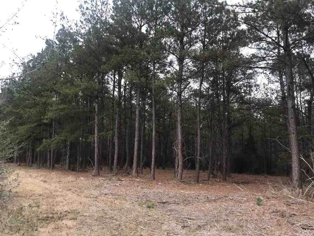 001 Attaway - Photo 1