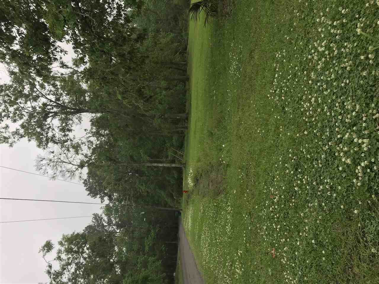 White Oak Rd - Photo 1