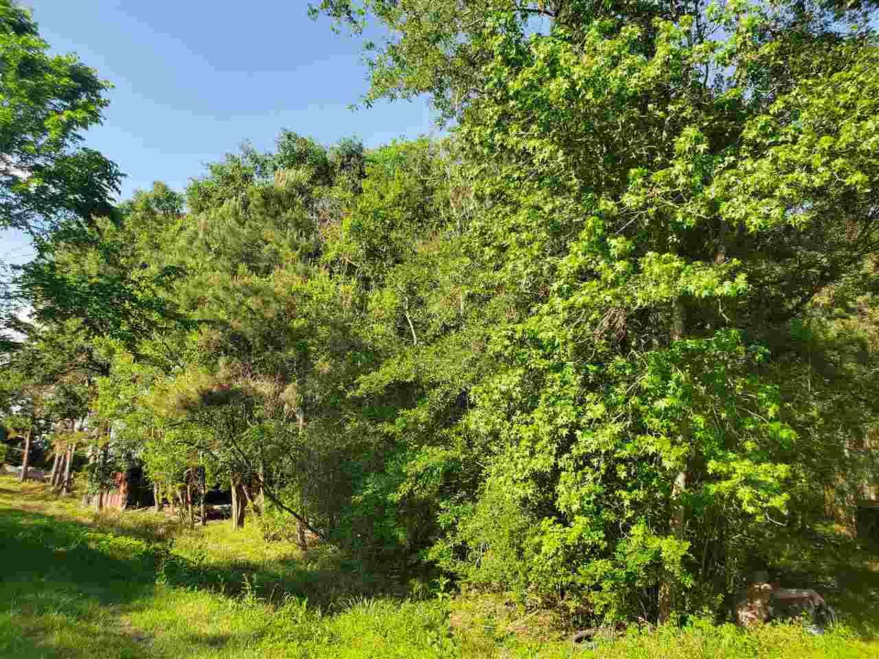 13201 Fork Drive - Photo 1
