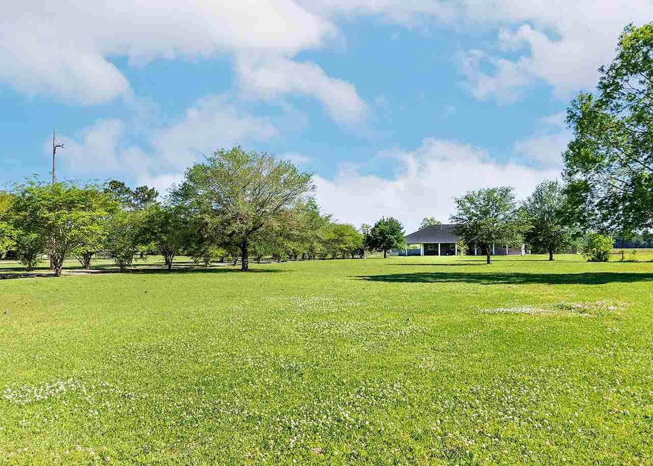 17008 Old Sour Lake Road - Photo 1
