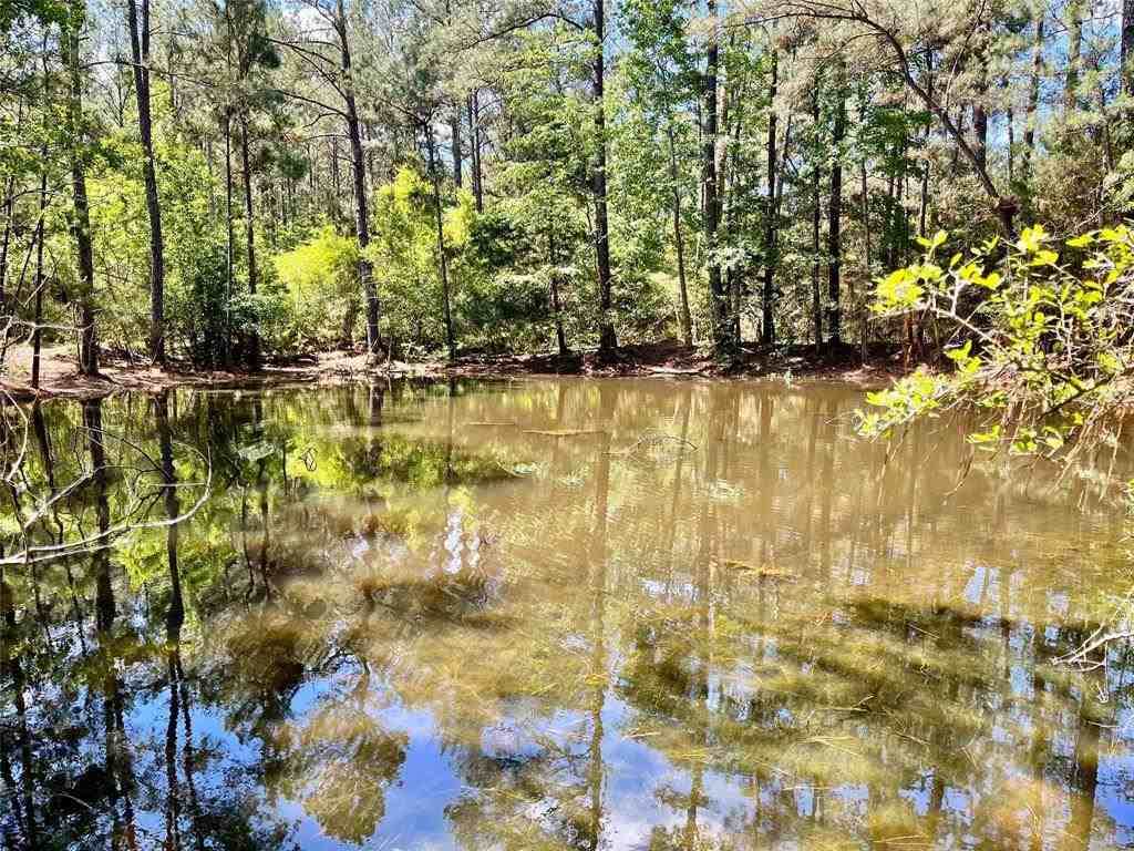 18 +/- Acres Fm 2992 - Photo 1