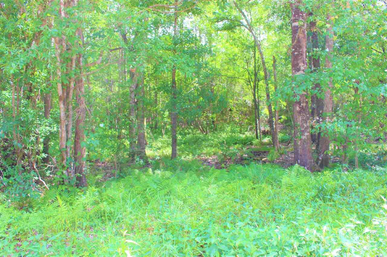 000 Wingfield - Photo 1