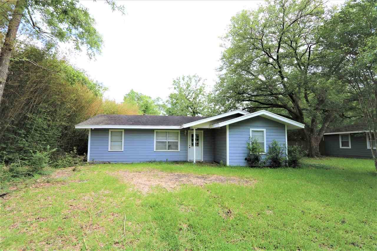 13365 Blackgum Street - Photo 1