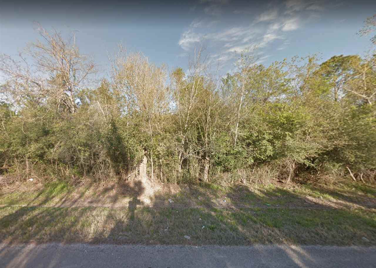 TBD Azalea Drive - Photo 1
