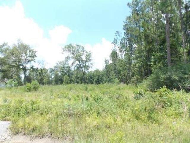 2205 Old Beaumont Rd - Photo 1