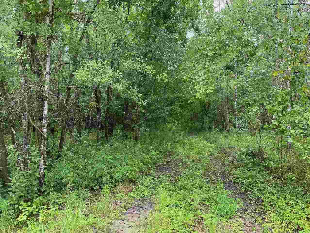 9802 Hickory Bend Dr. - Photo 1