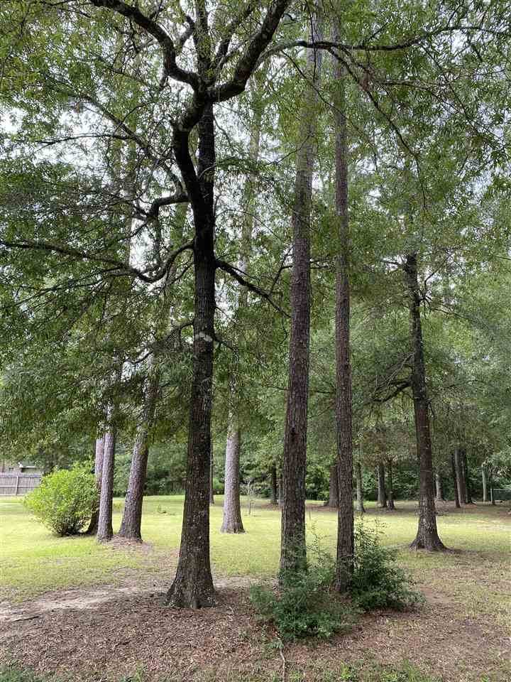 Pine Haven St. - Photo 1