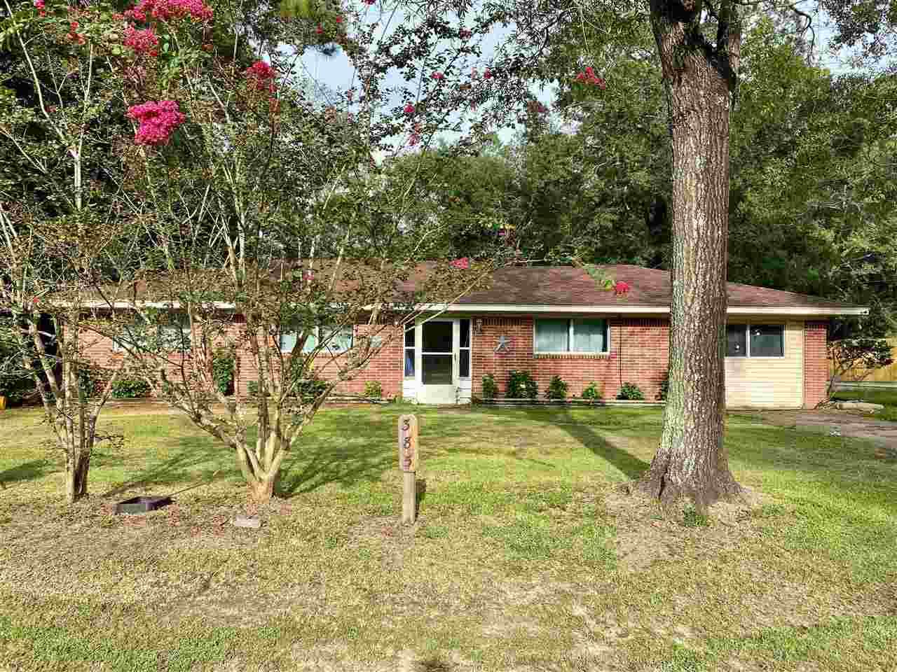 385 Delores - Photo 1