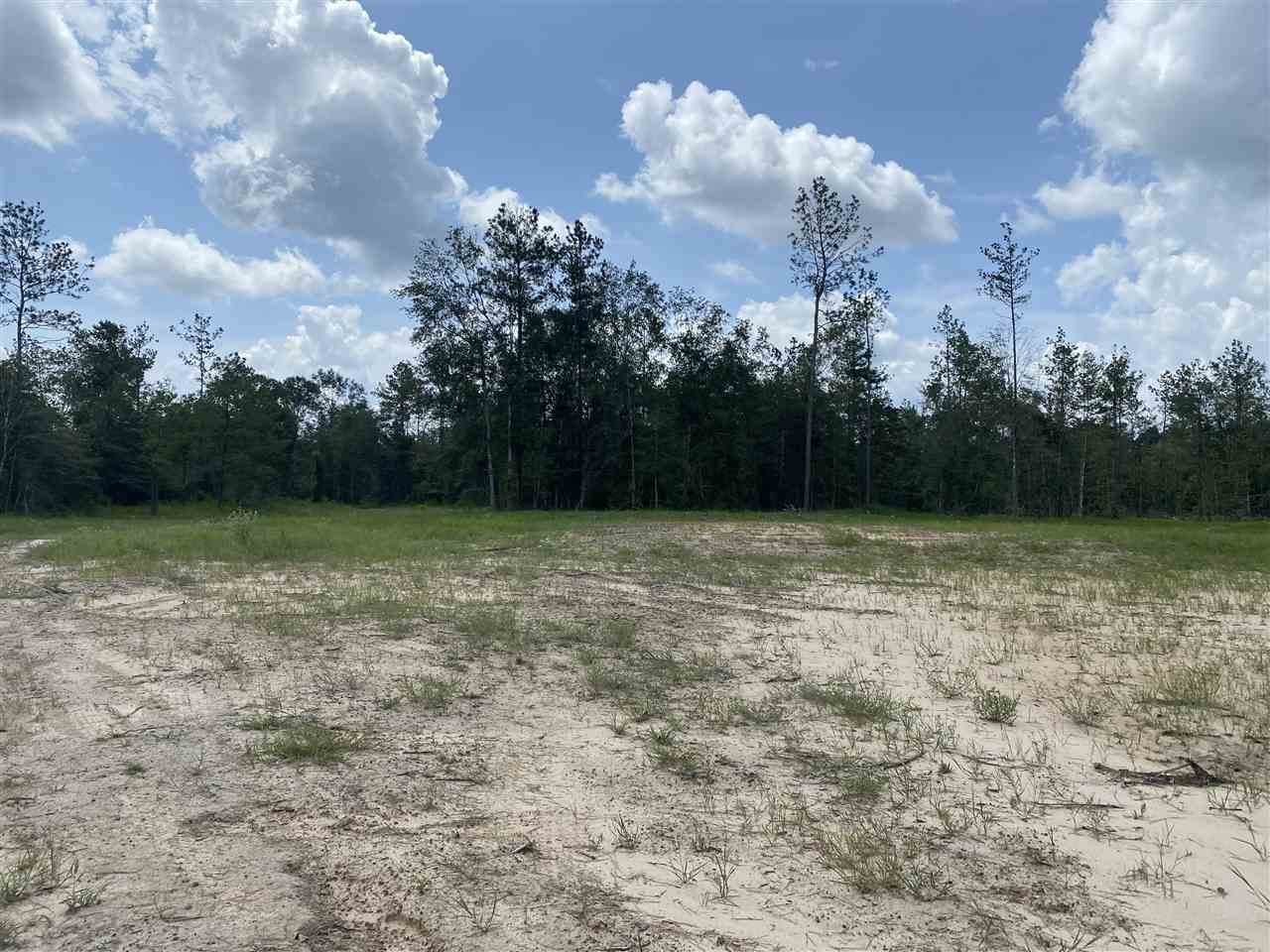 000 CR 420 Tract 8 And 9 - Photo 1