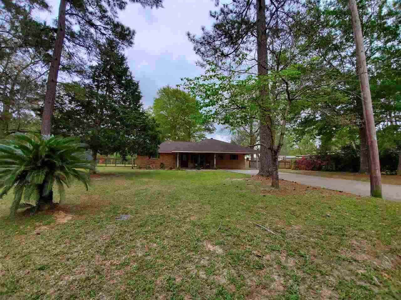 5659 Ariola Lane - Photo 1