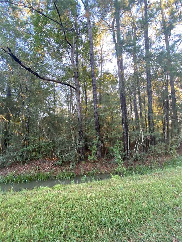 000 Ellis Dr - Photo 1