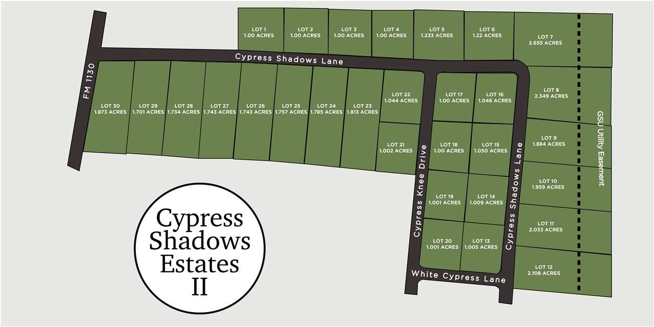 2730 Cypress Shadows Ln - Photo 1