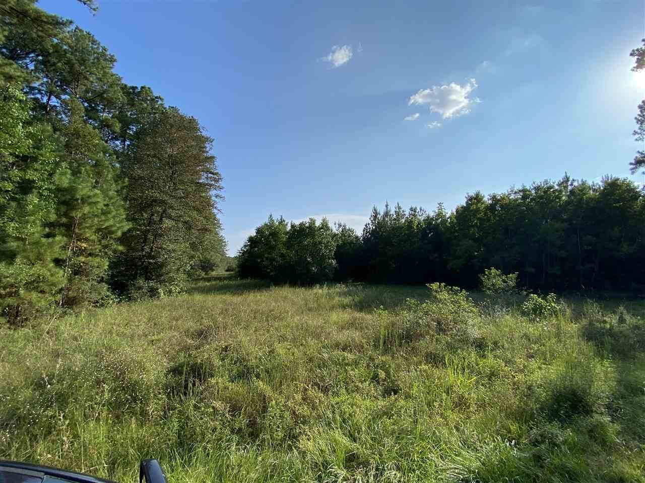00 Tom Easley Rd - Photo 1