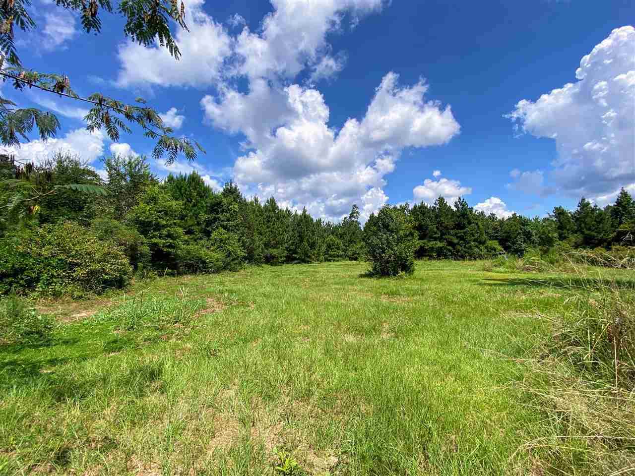 8135 Crawford - Photo 1