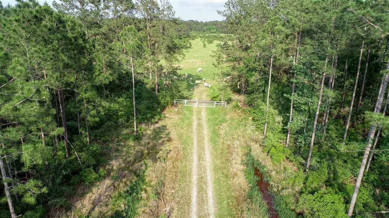000 Old Beaumont Rd - Photo 1